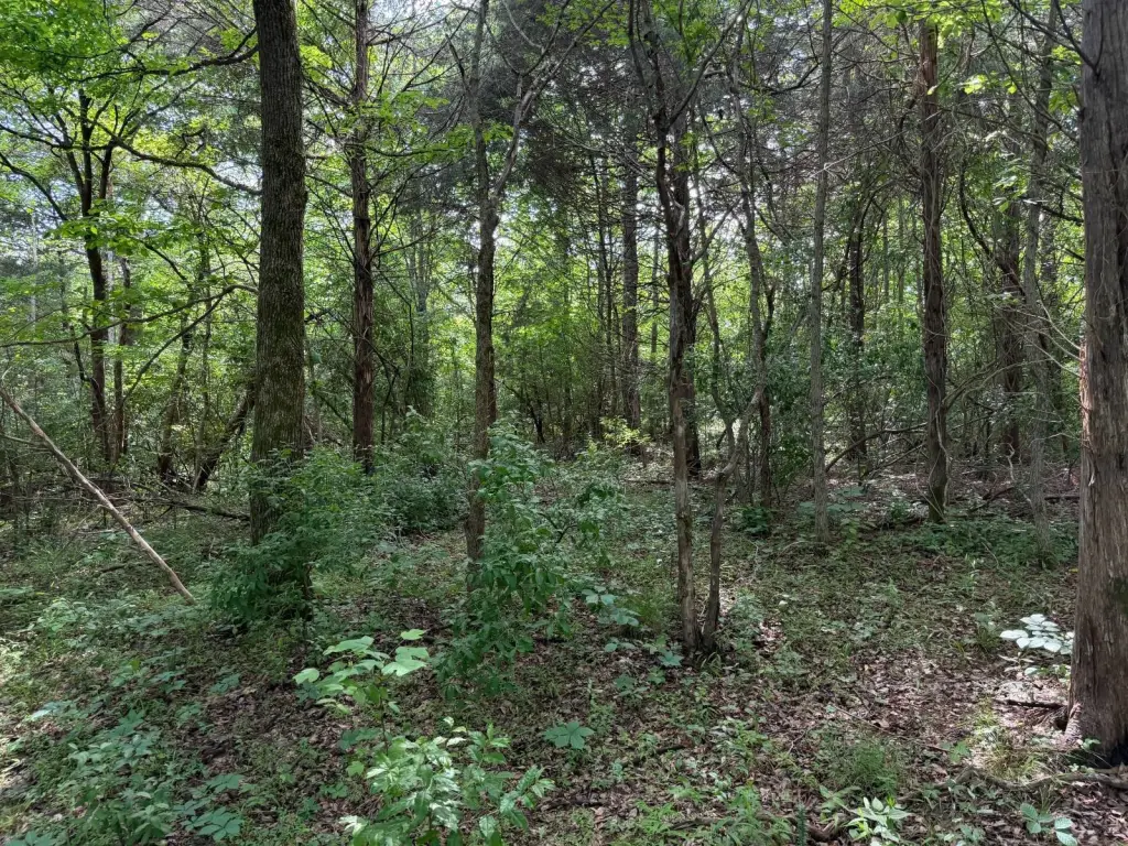 Picture 23