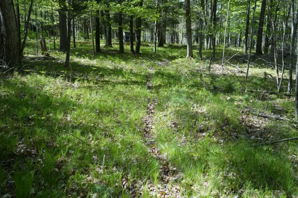 Picture 42