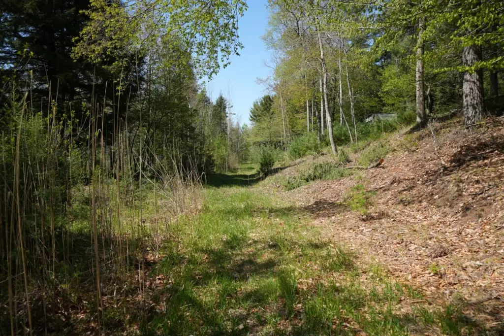 Picture 38