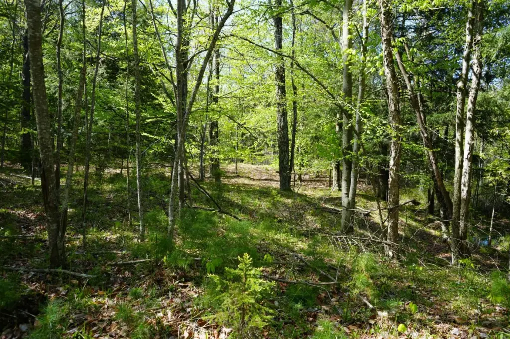 Picture 41