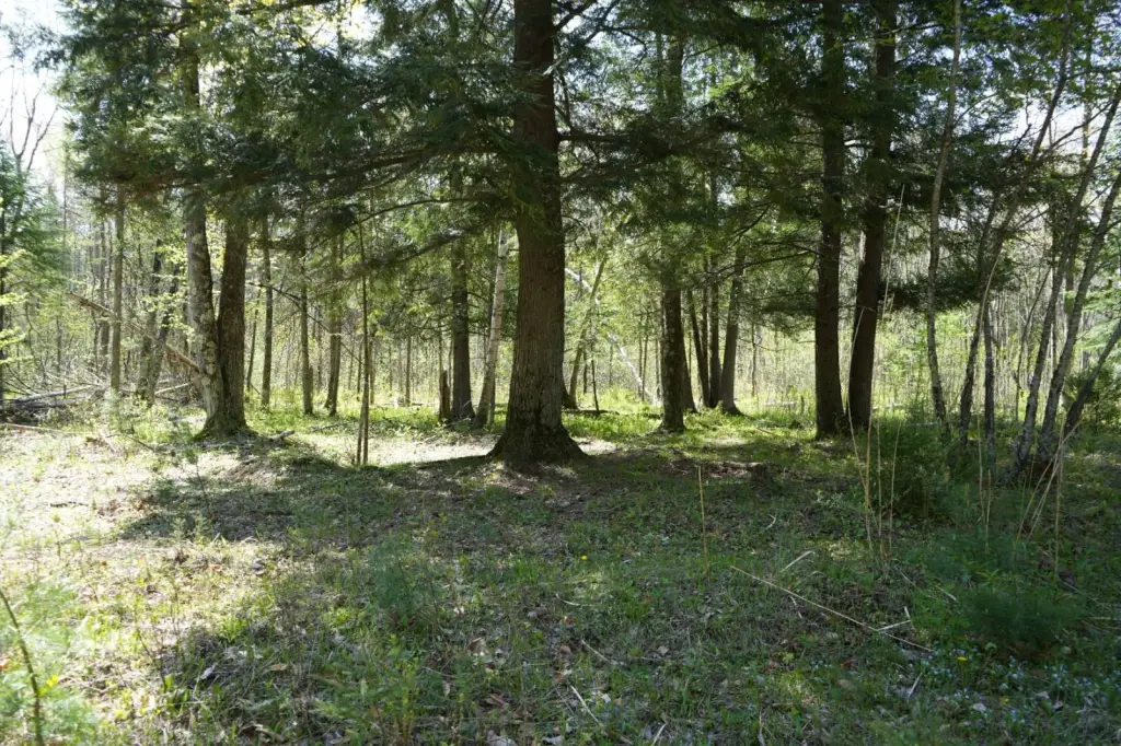 Picture 25
