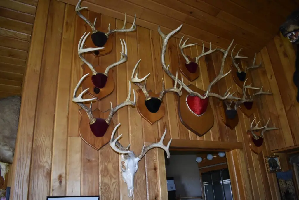 Picture 7