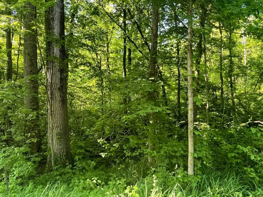 Picture 14