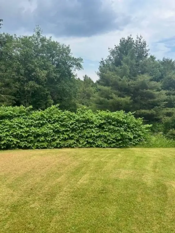Picture 25