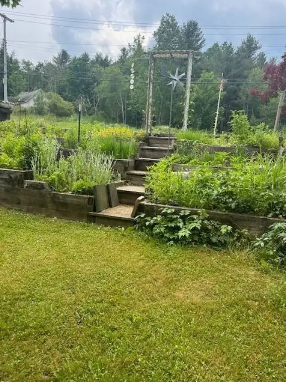 Picture 23