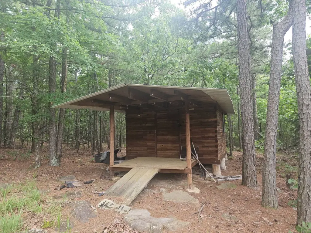 Picture 6