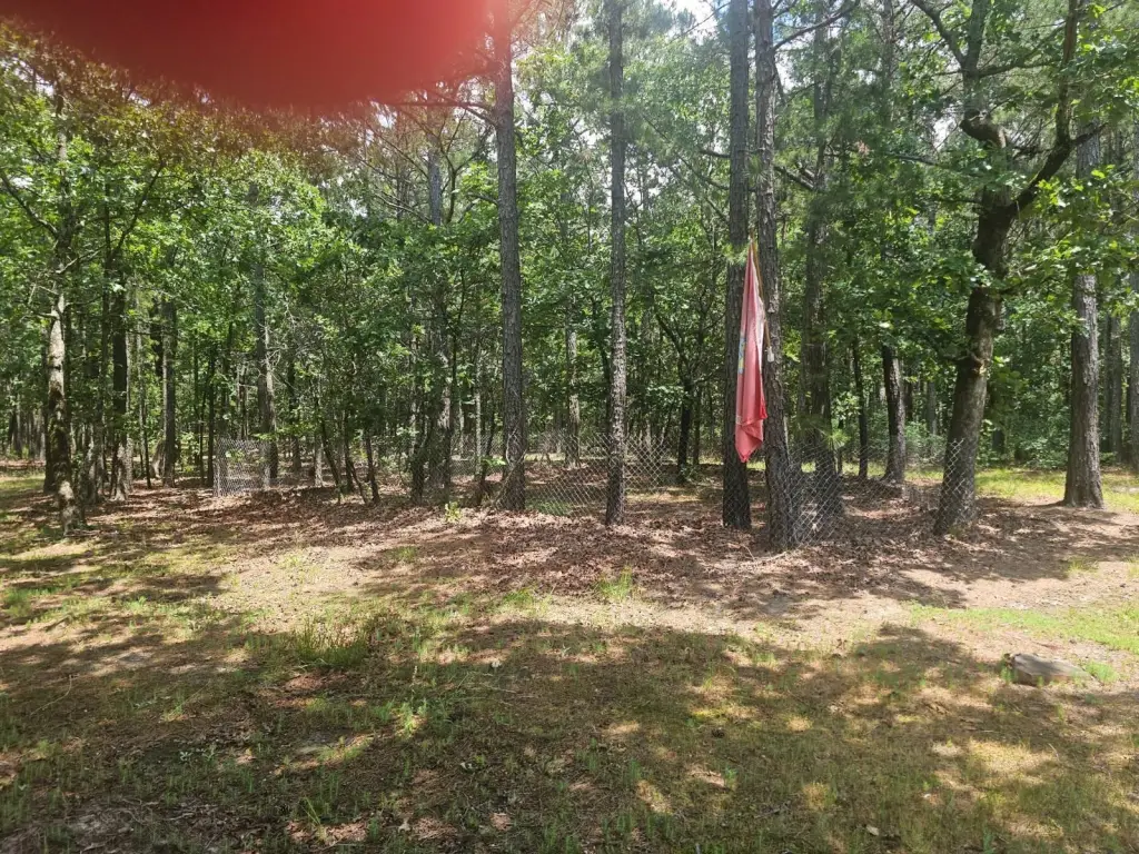 Picture 19