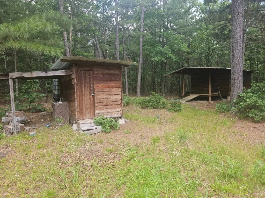 Picture 5
