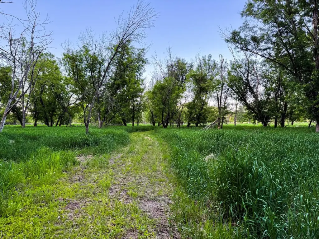 Picture 25