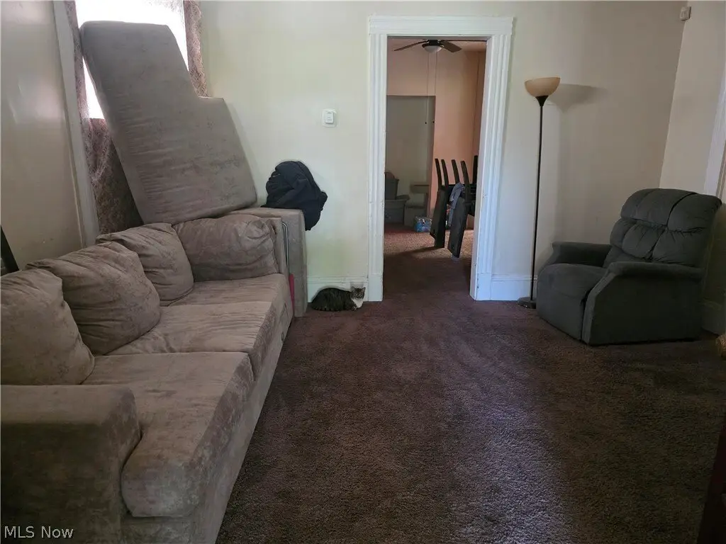 Picture 5