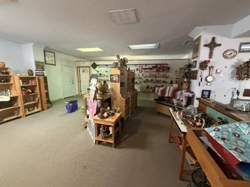 Picture 15