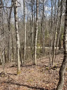 Topton NC Land For Sale