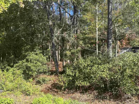 Residential Lots in Coden, AL