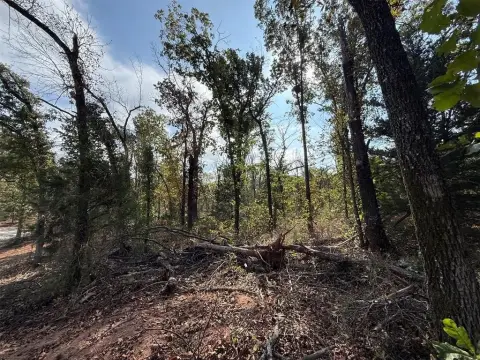Wooded Lot in Noble, OK