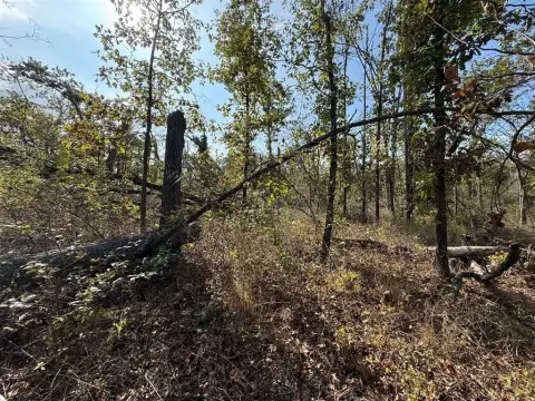 Acreage Lot in Noble, OK