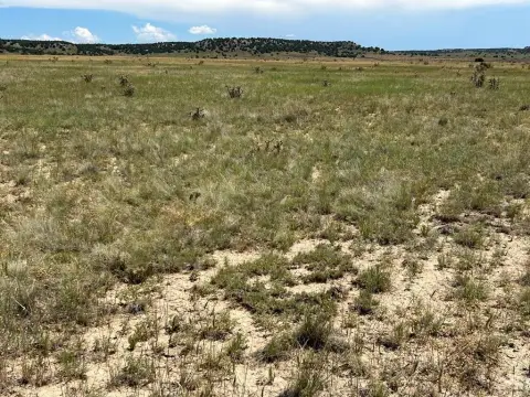 67 Acres in Southern Colorado