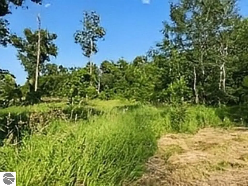 Picture 2