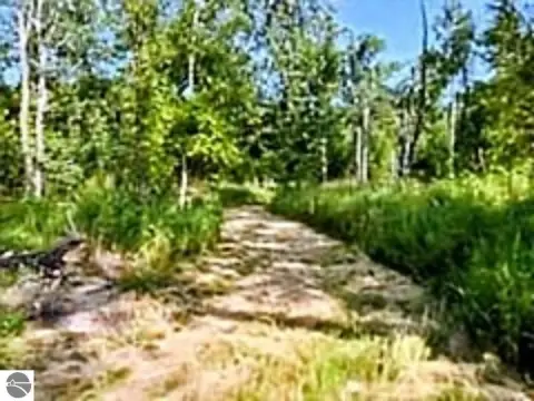 Wooded Hunting Land with Trails