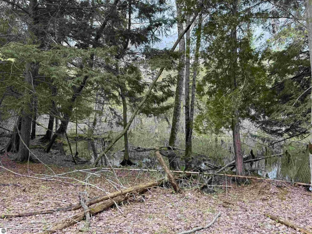 Picture 25
