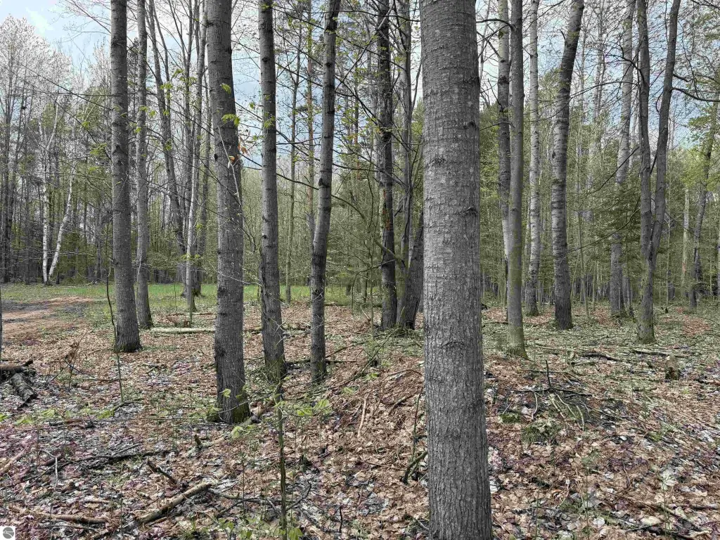 Picture 26
