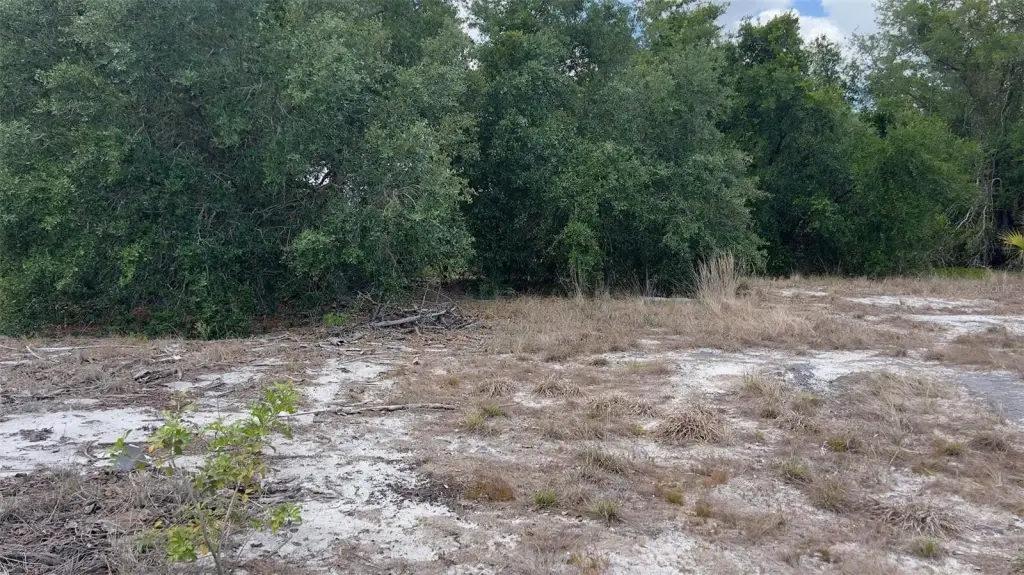 Picture 3
