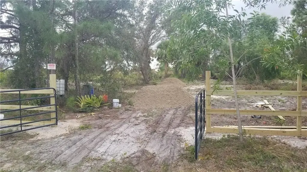 Picture 2