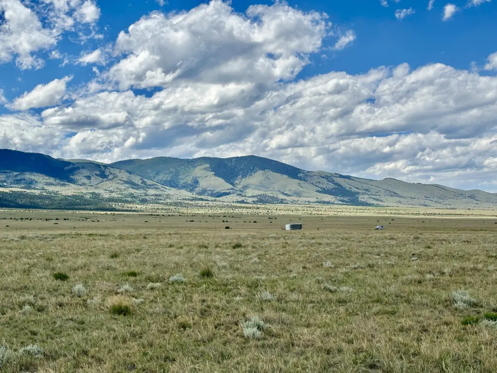 Picture 21