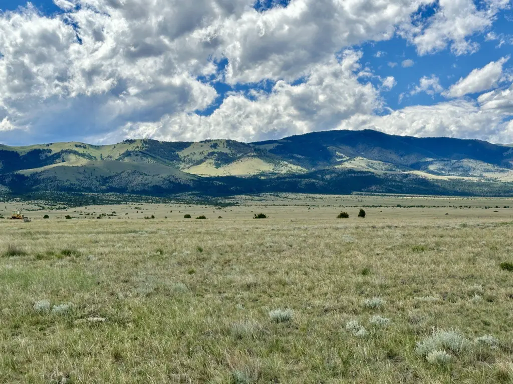 Picture 20