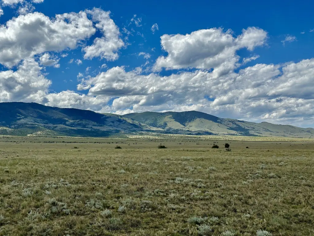Picture 30
