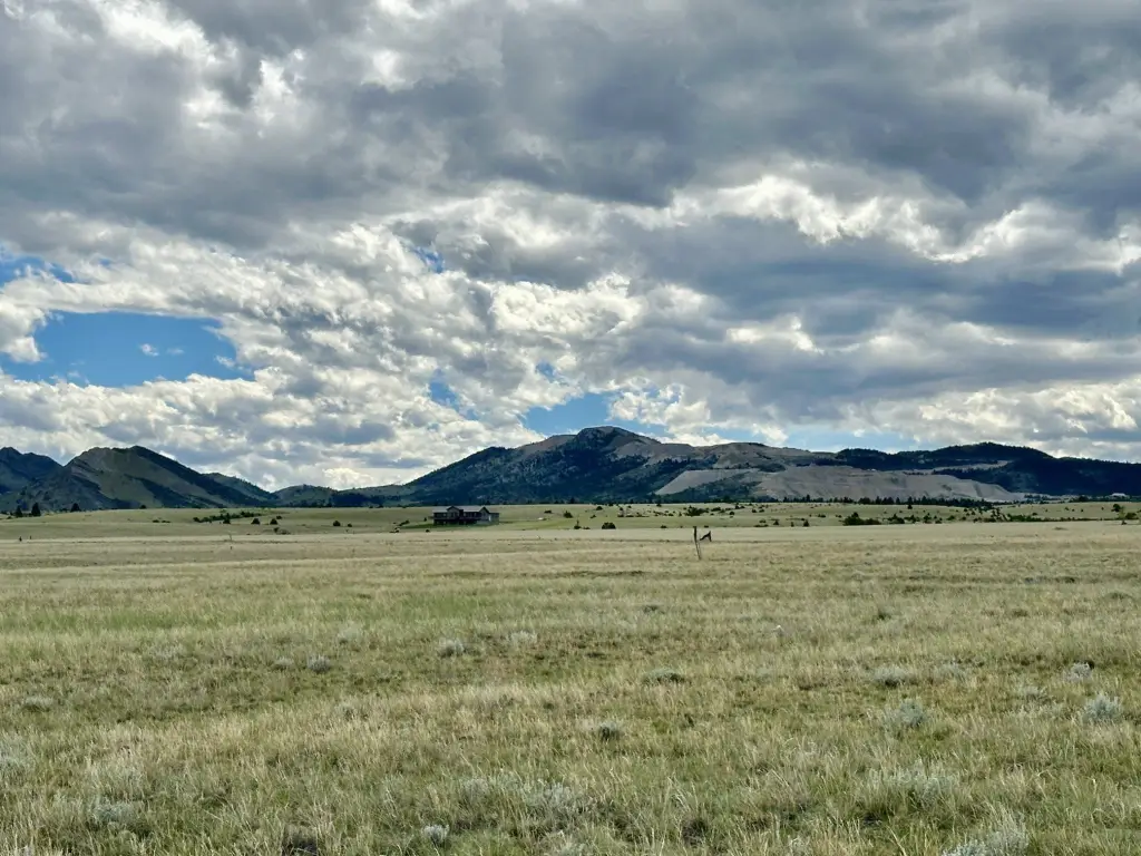 Picture 19
