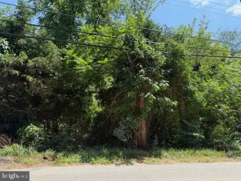 Heavily Wooded Land Parcel