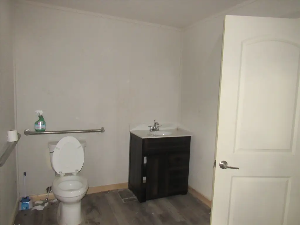 Picture 15