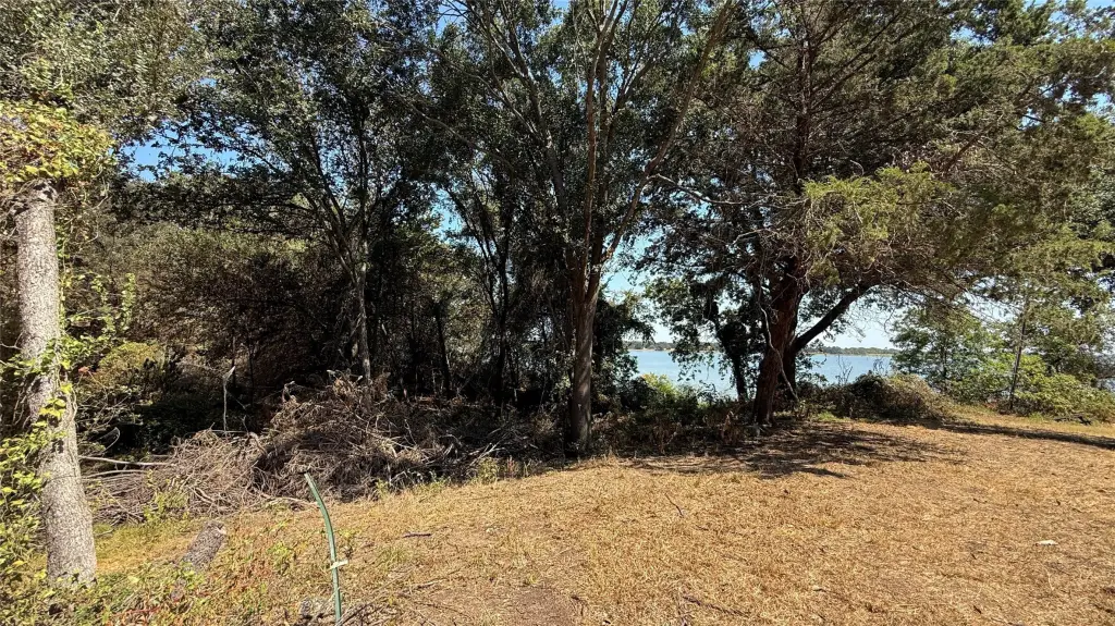 Picture 37