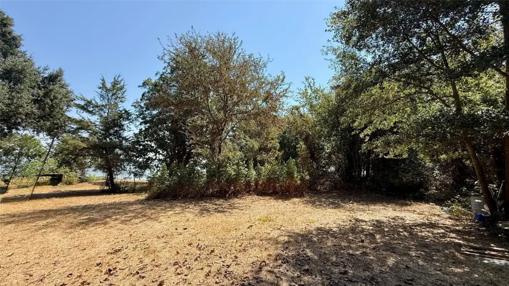 Picture 24
