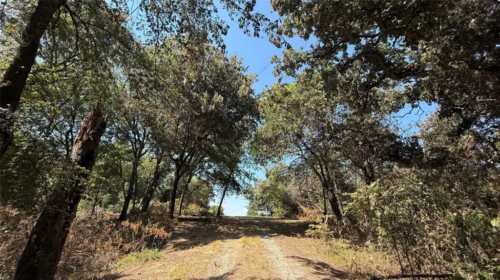 Picture 22