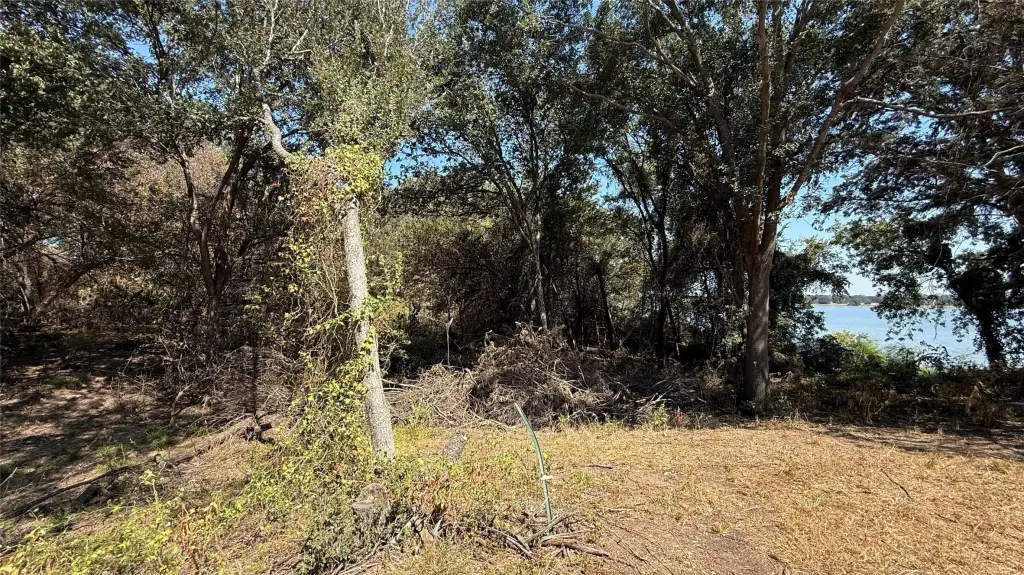 Picture 38