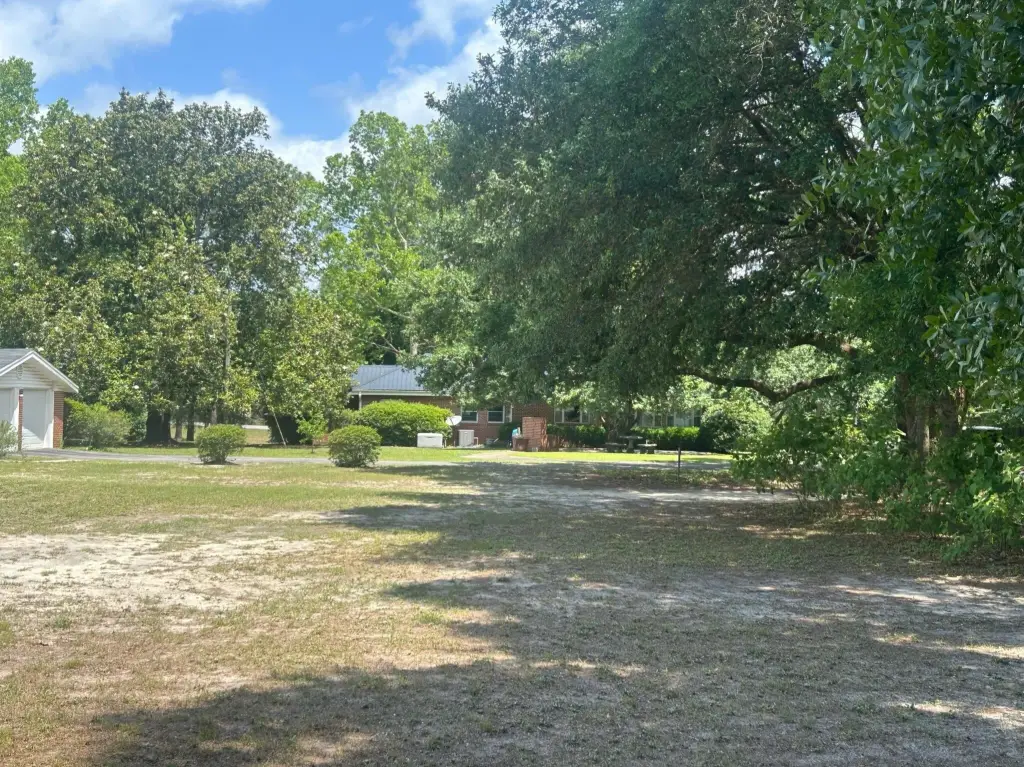 Picture 21