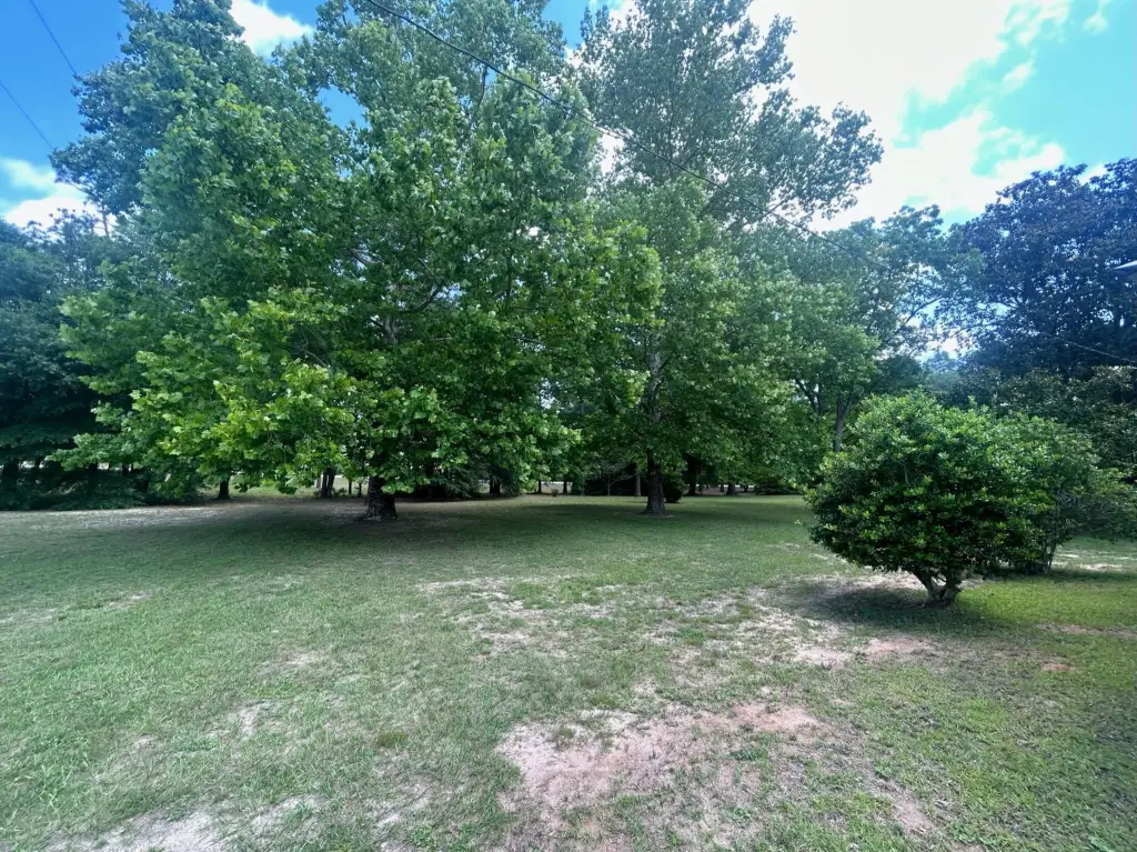 Picture 12