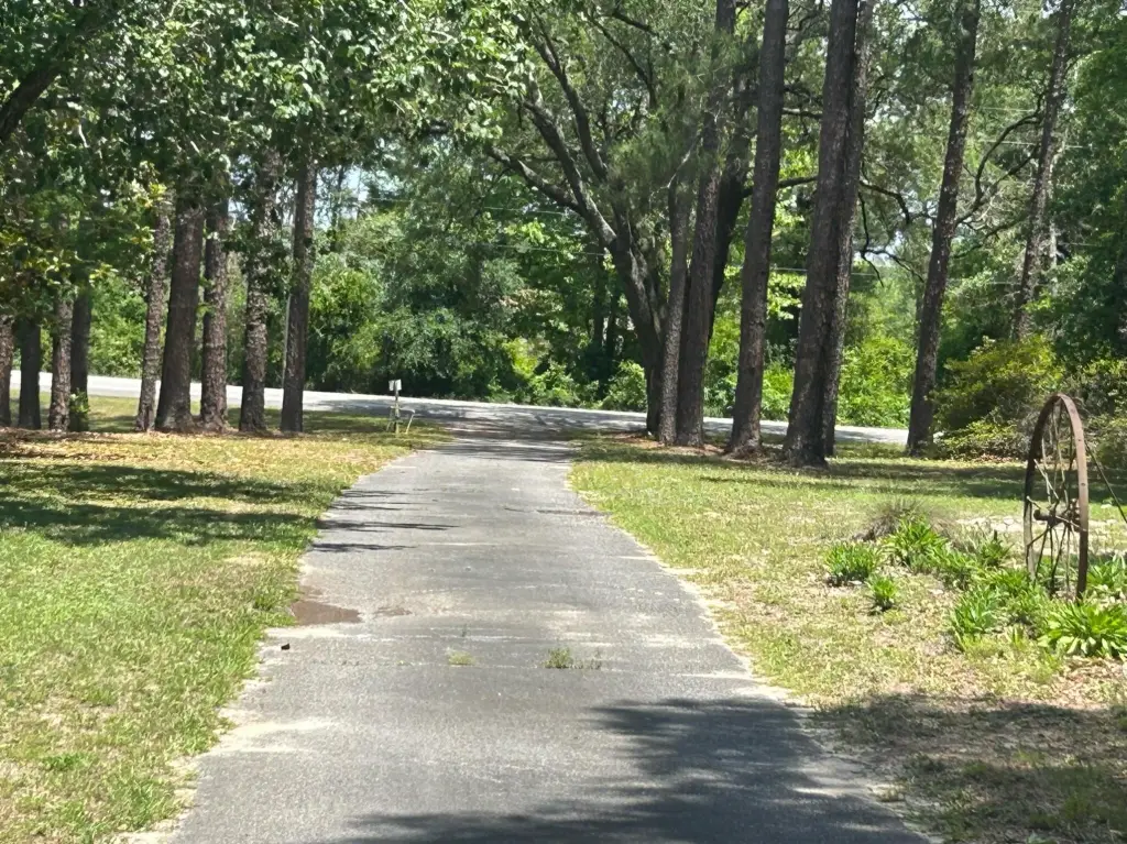 Picture 6