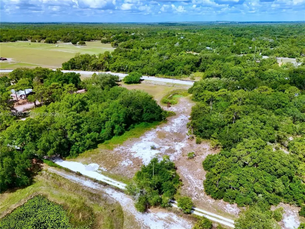 Picture 25