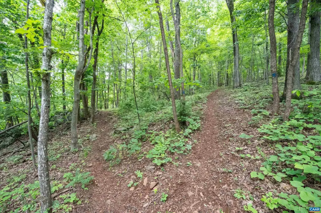 Picture 33