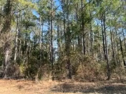 Cordele Acreage Near Lake Blackshear