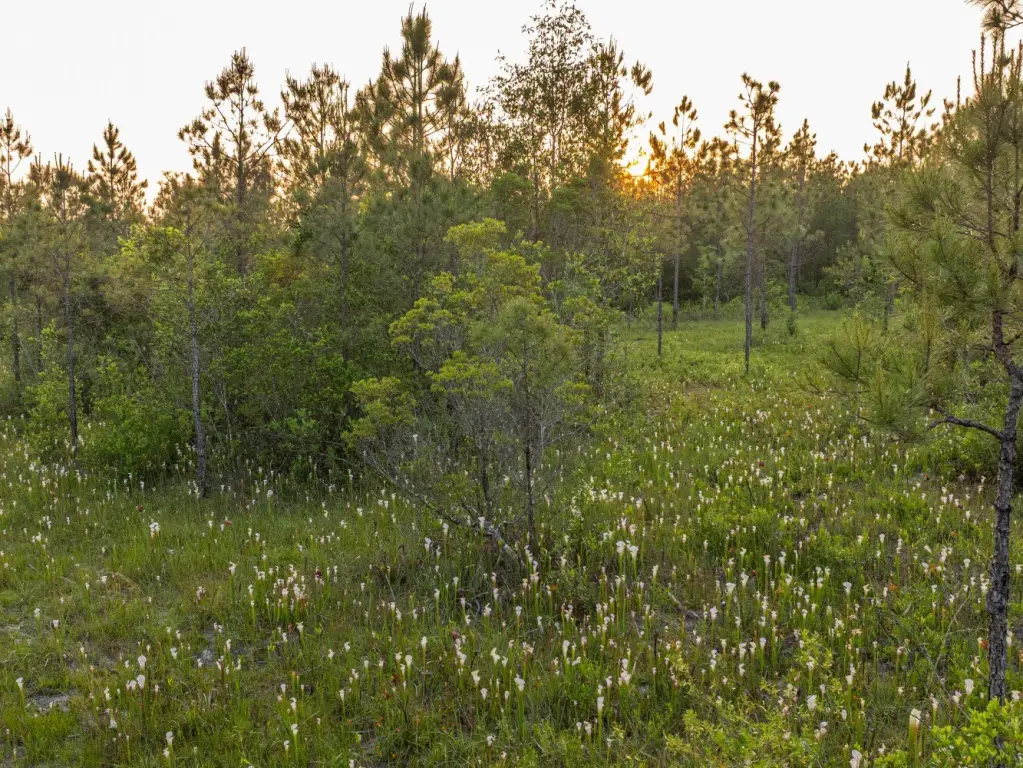 Picture 21