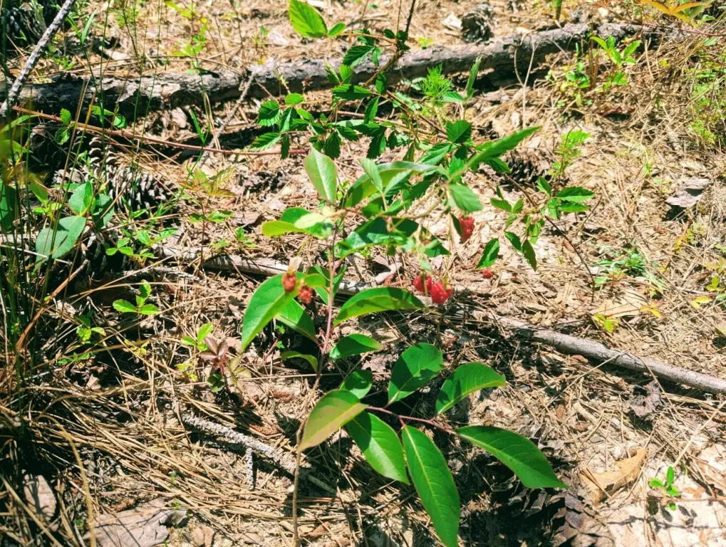 Picture 14