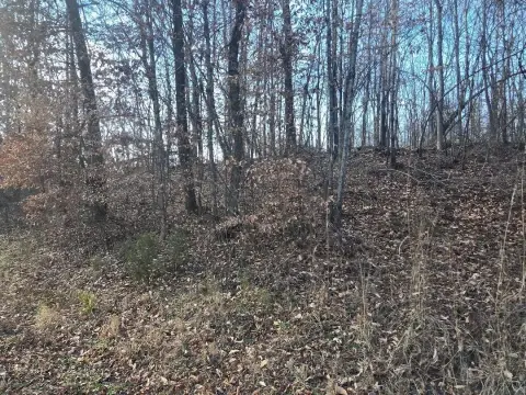 Residential Land Near Watts Bar