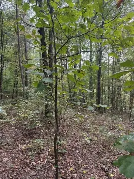 Residential Land in Waleska, GA