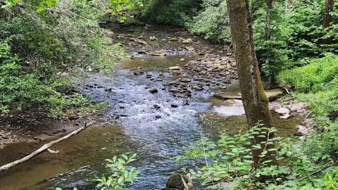 Unrestricted Land Near Cherokee Forest