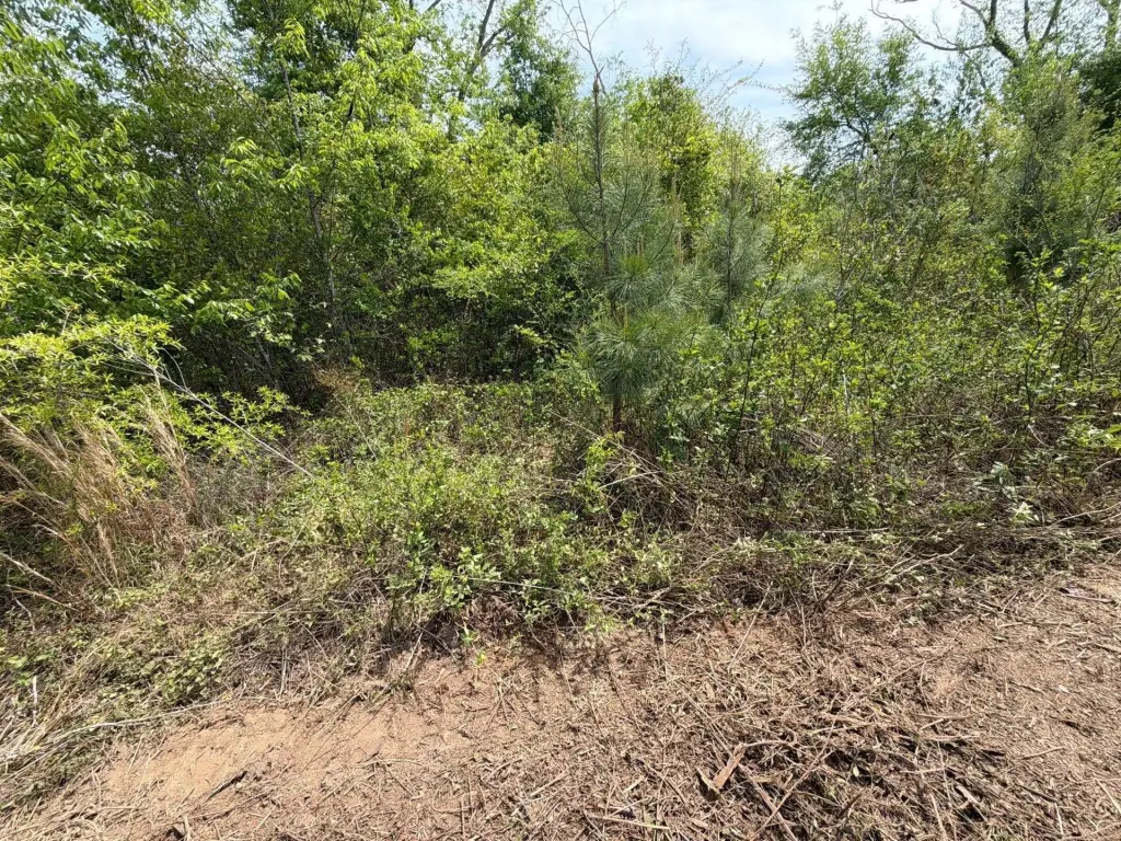Picture 19