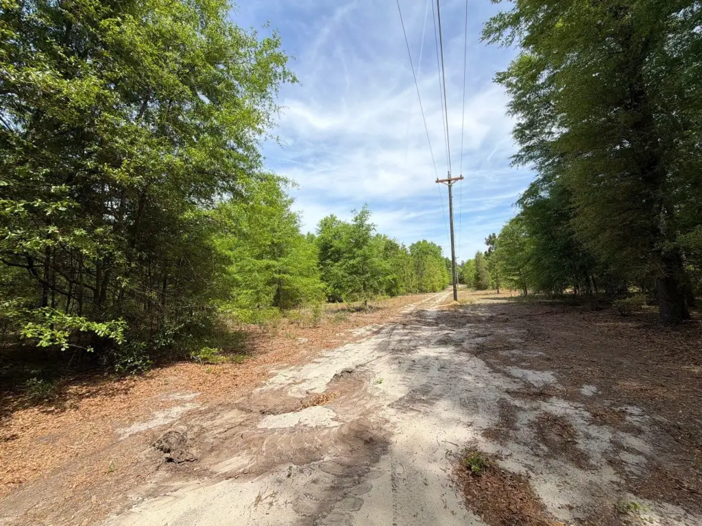 Picture 14
