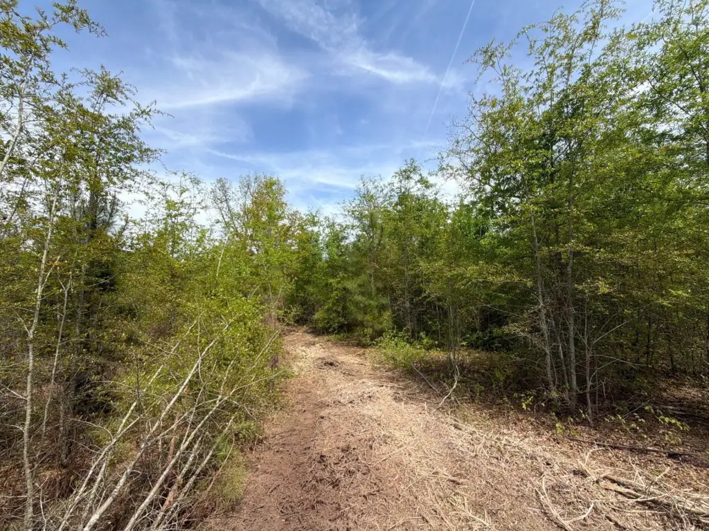 Picture 20